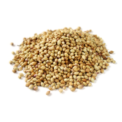 Byait Coriader Seed 4 Oz