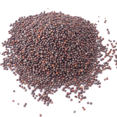 Byait Mustard Seed 4 Oz